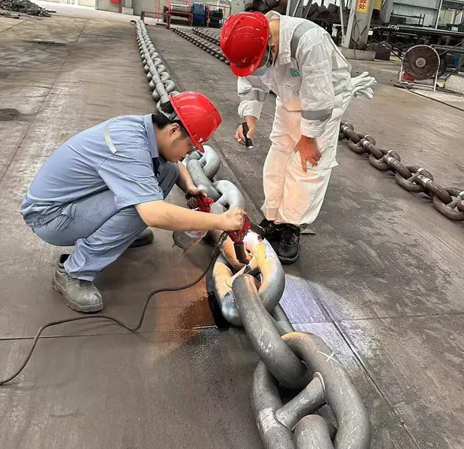 সামুদ্রিক বিশ্বের 